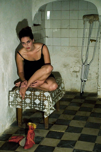 Sarah Jane Hodges, Artist